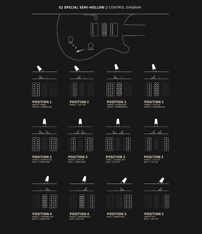 PRS S2 Special Semi-Hollow - Black Amber