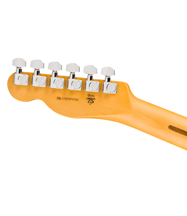 Fender American Professional Hotshot Telecaster - Maple Fretboard, Butterscotch Blonde