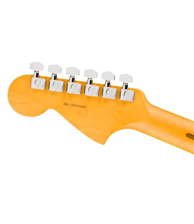 Fender American Professional Jaguar - Rosewood Fretboard, Dark Night