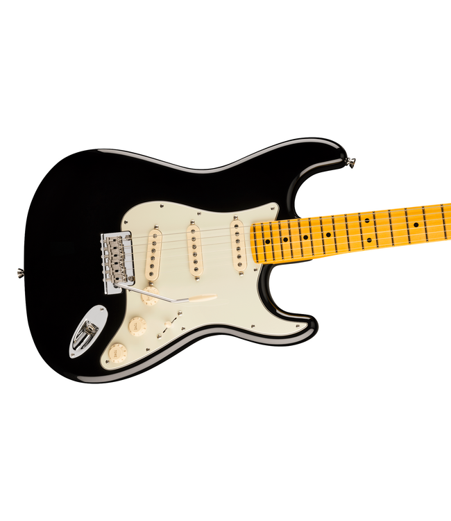 Fender American Professional Stratocaster - Maple Fretboard, Black
