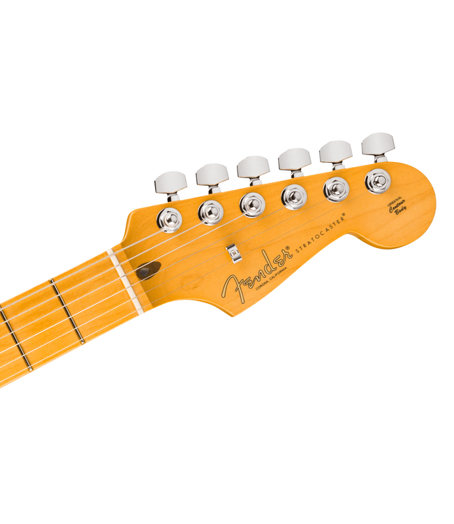 Fender American Professional Stratocaster - Maple Fretboard, Dark Night