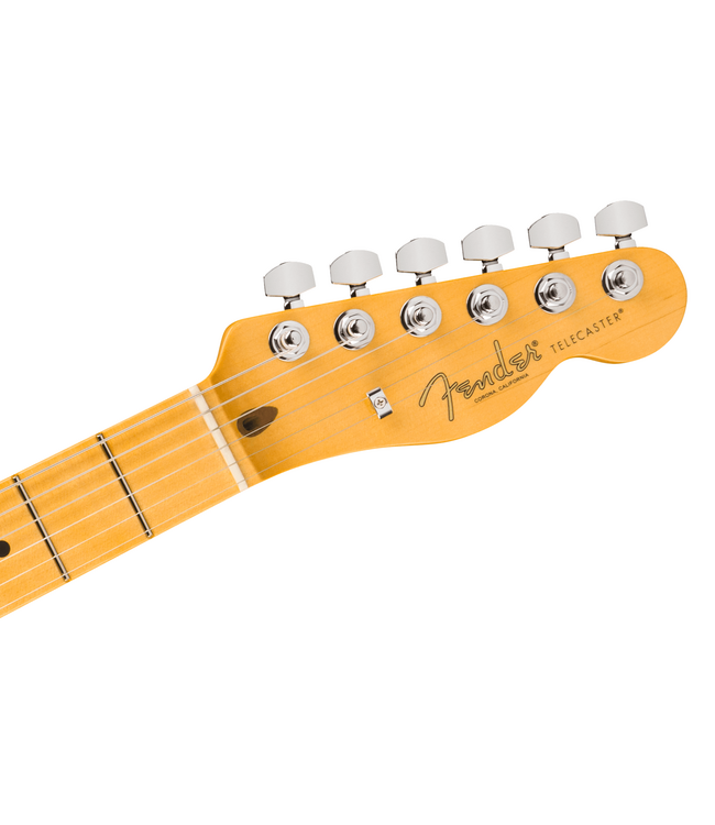 Fender American Professional Telecaster - Maple Fretboard, Black
