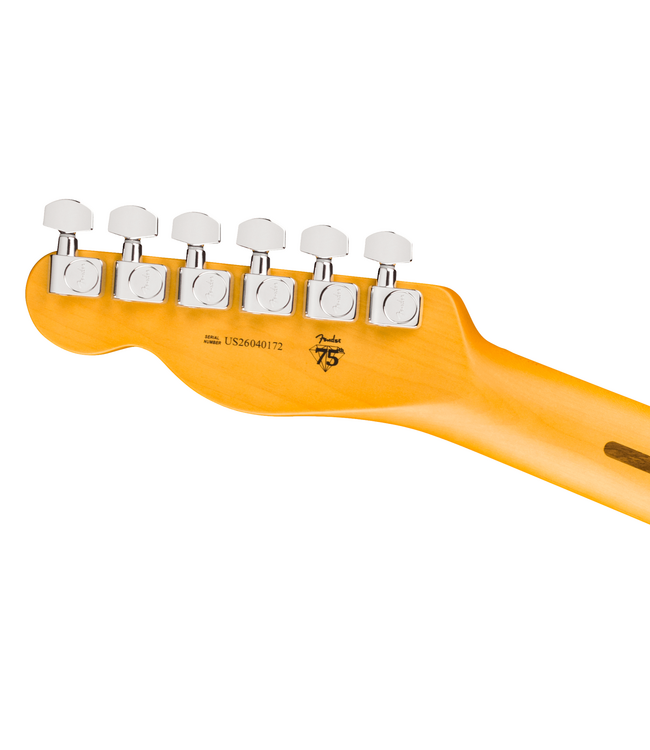 Fender American Professional Telecaster - Maple Fretboard, Natural