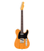 Fender Fender American Professional Telecaster - Rosewood Fretboard, Natural