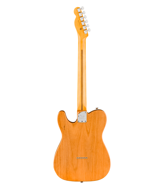 Fender American Professional Telecaster - Rosewood Fretboard, Natural
