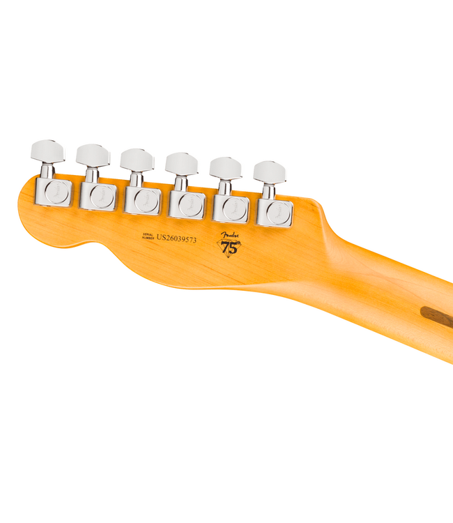 Fender American Professional Telecaster - Rosewood Fretboard, Natural