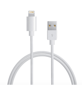 Apple Lightning to USB Cable 1m