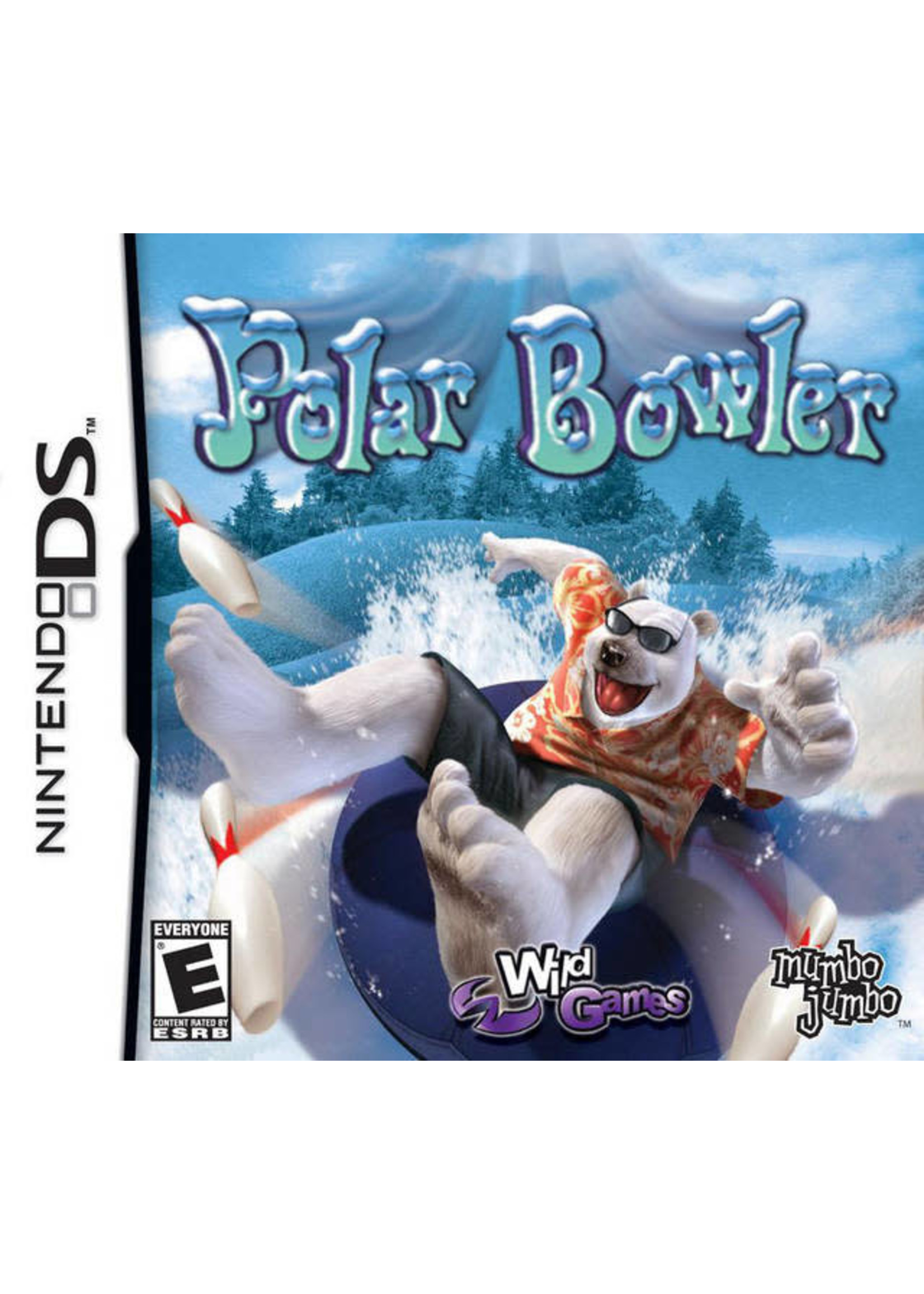 Nintendo DS Polar Bowler - Print