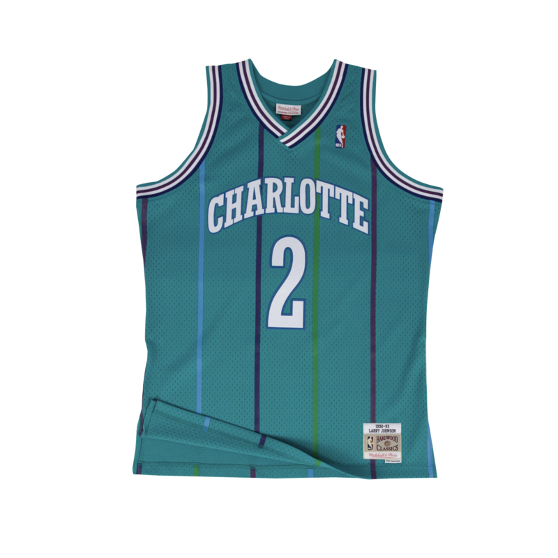 Mitchell & Ness Mitchell & Ness Charlotte Hornets Larry Johnson 1992-93 Jersey Teal