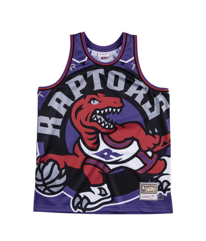 mitchell ness raptors