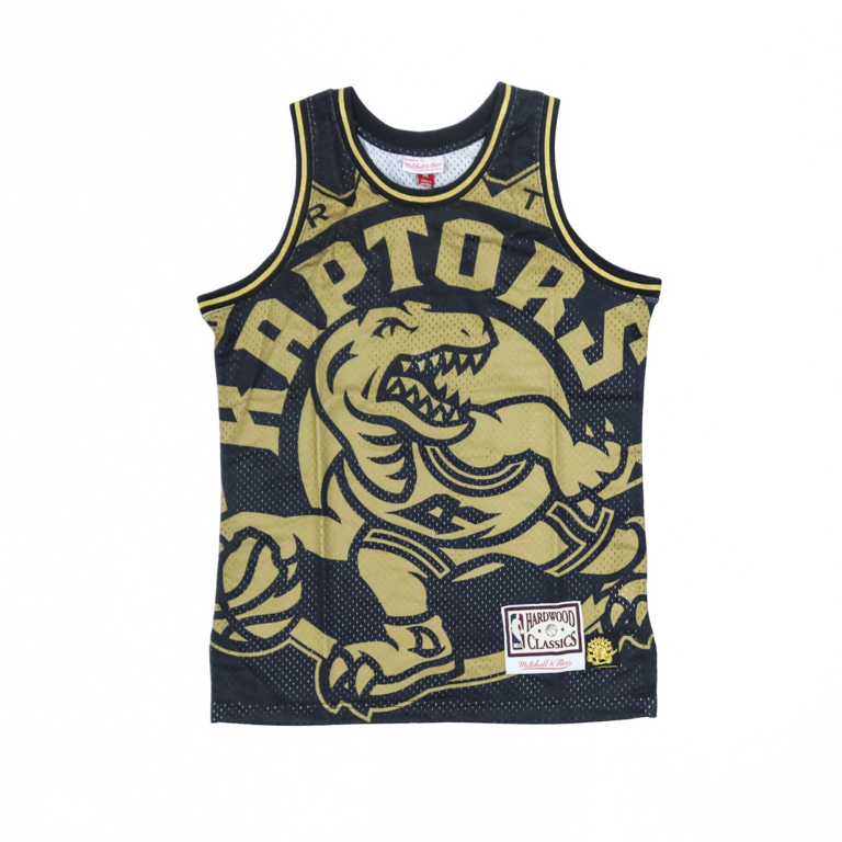 mitchell and ness raptors jersey