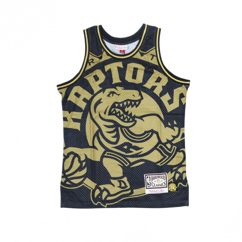 mitchell and ness toronto