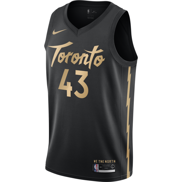 Nike Toronto Raptors Swingman Jersey 