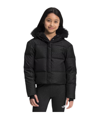 North face dealio discount
