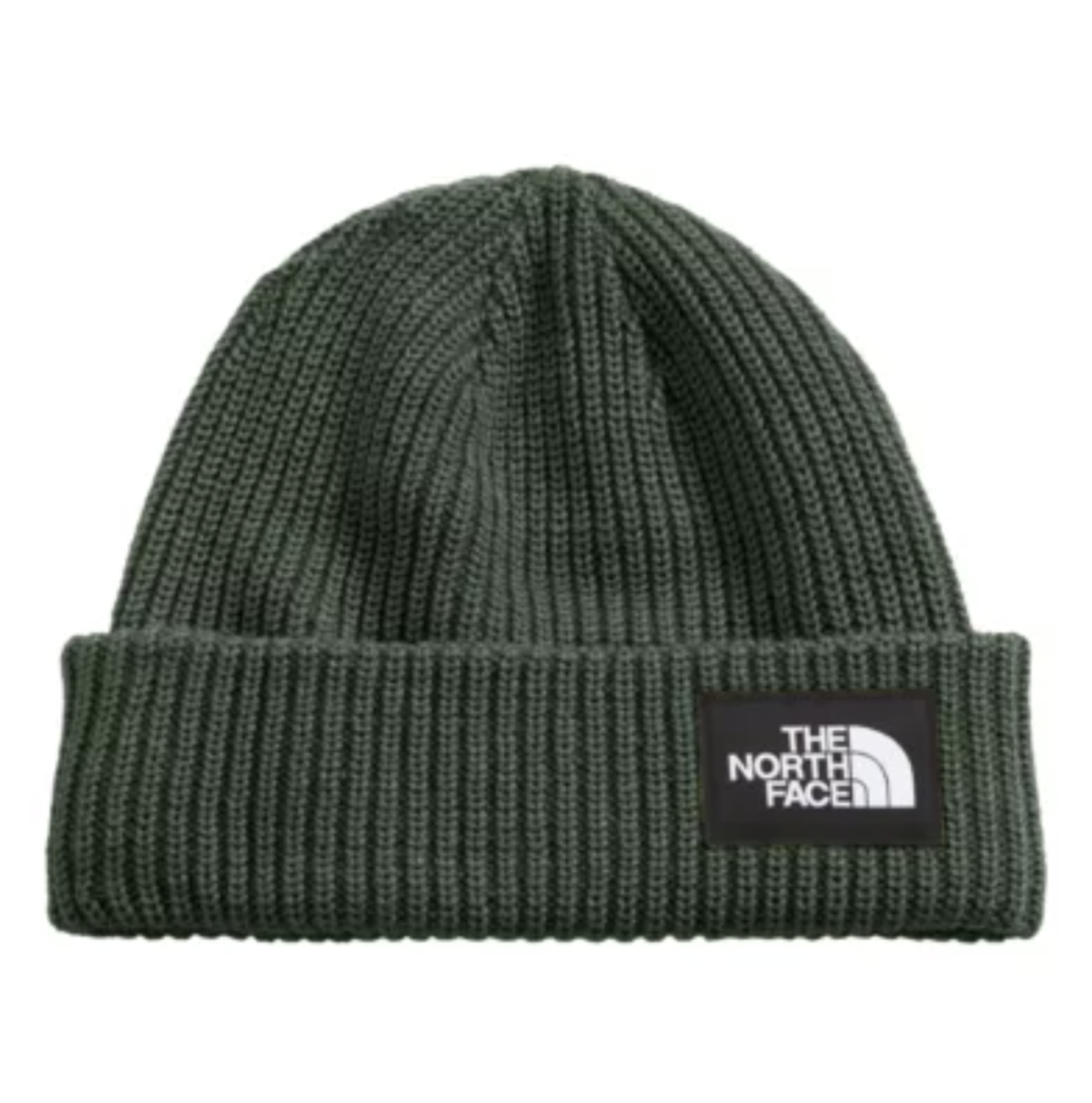 The North Face Salty Dog Beanie Green Thyme NF0A3FJW NYC - Sam Tabak