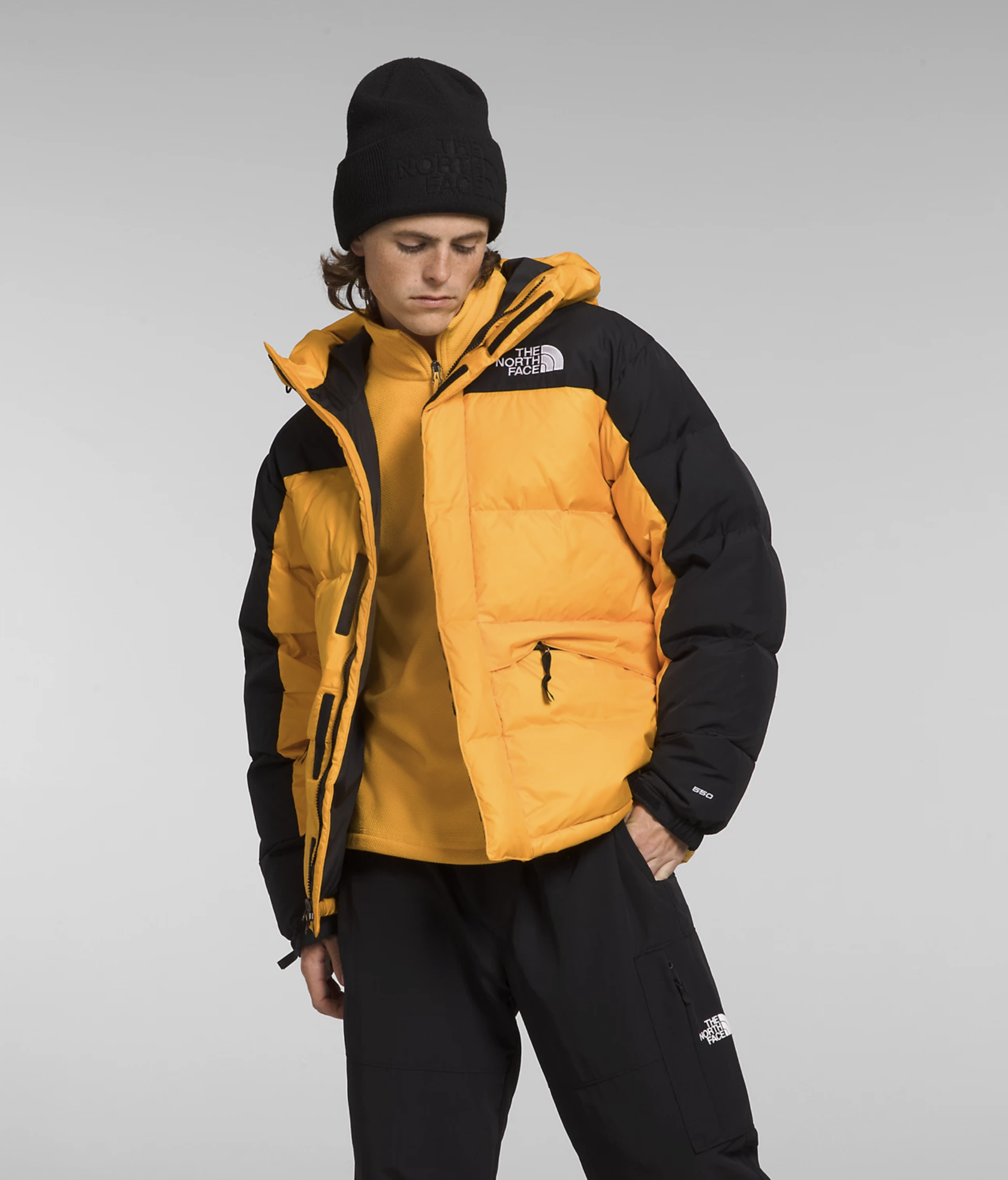North face himalayan down parka discount