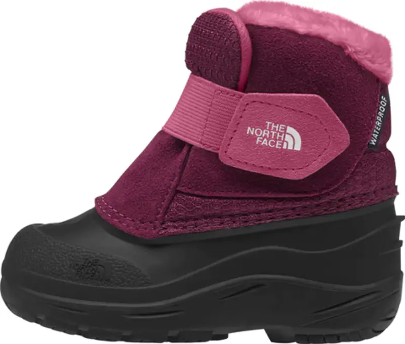 The North Face The North Face Toddler Alpenglow II Boots Boysenberry/Black NF0A3FYOKK9