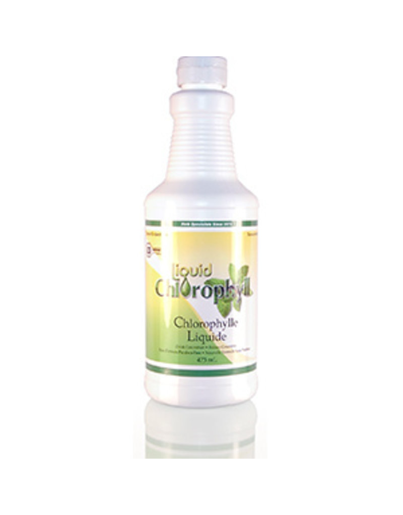 Nature's Sunshine Liquid Chlorophyll, Paraben-free  473 mL