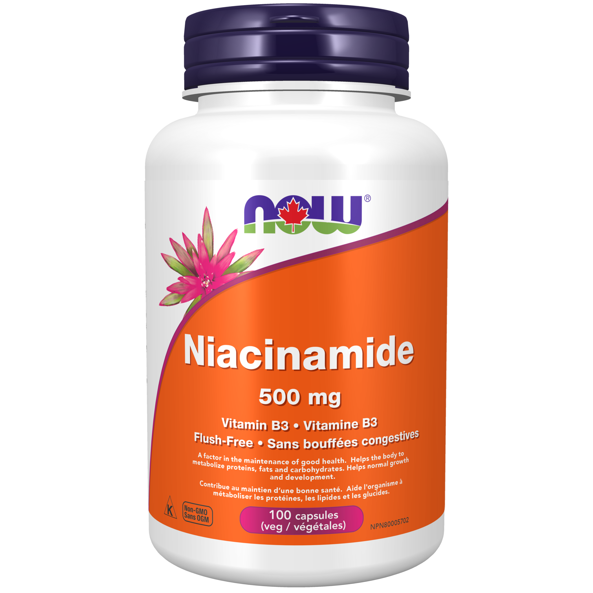Niacinamide 500mg 100cap Family Herbal Clinic & Herb Shop
