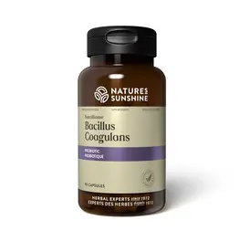 Nature's Sunshine NutriBiome Bacillus Coagulans (90 capsules)