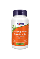 NOW Stinging Nettle 250 mg 90 caps