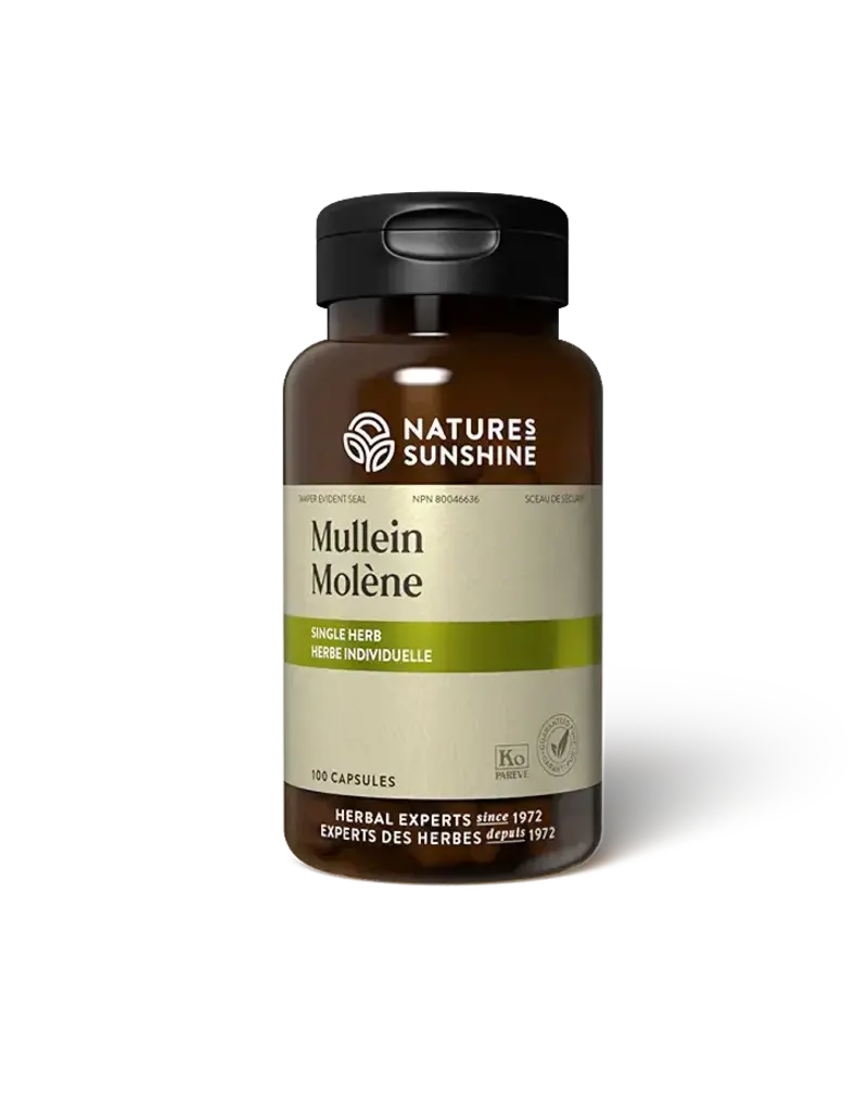 Nature's Sunshine Mullein (100 capsules)