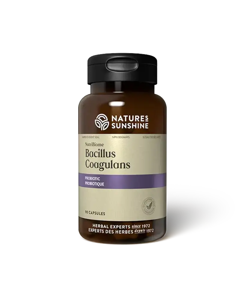 Nature's Sunshine NutriBiome Bacillus Coagulans capsule