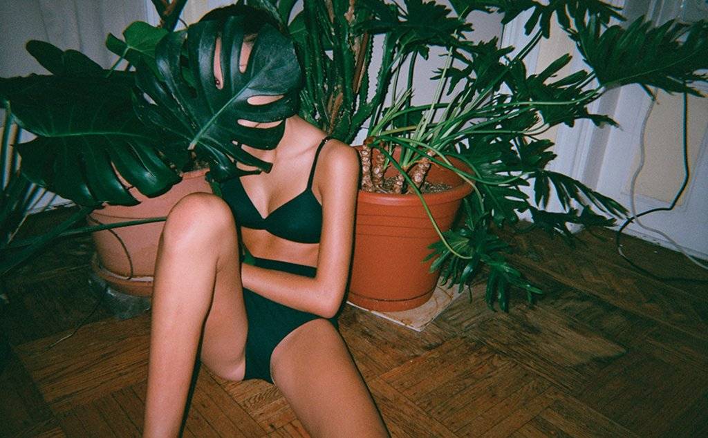 The Understated Beauty of Araks