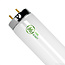 Black Light Bulb F-40T12BL 48 in