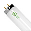 Black Light Bulb F-20T12BL 24 in
