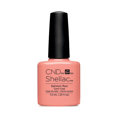 Shellac SHELLAC Salmon Run Shellac SHELLAC Salmon Run