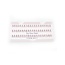 BS Tip Free Lashes Med Single 10 Trays