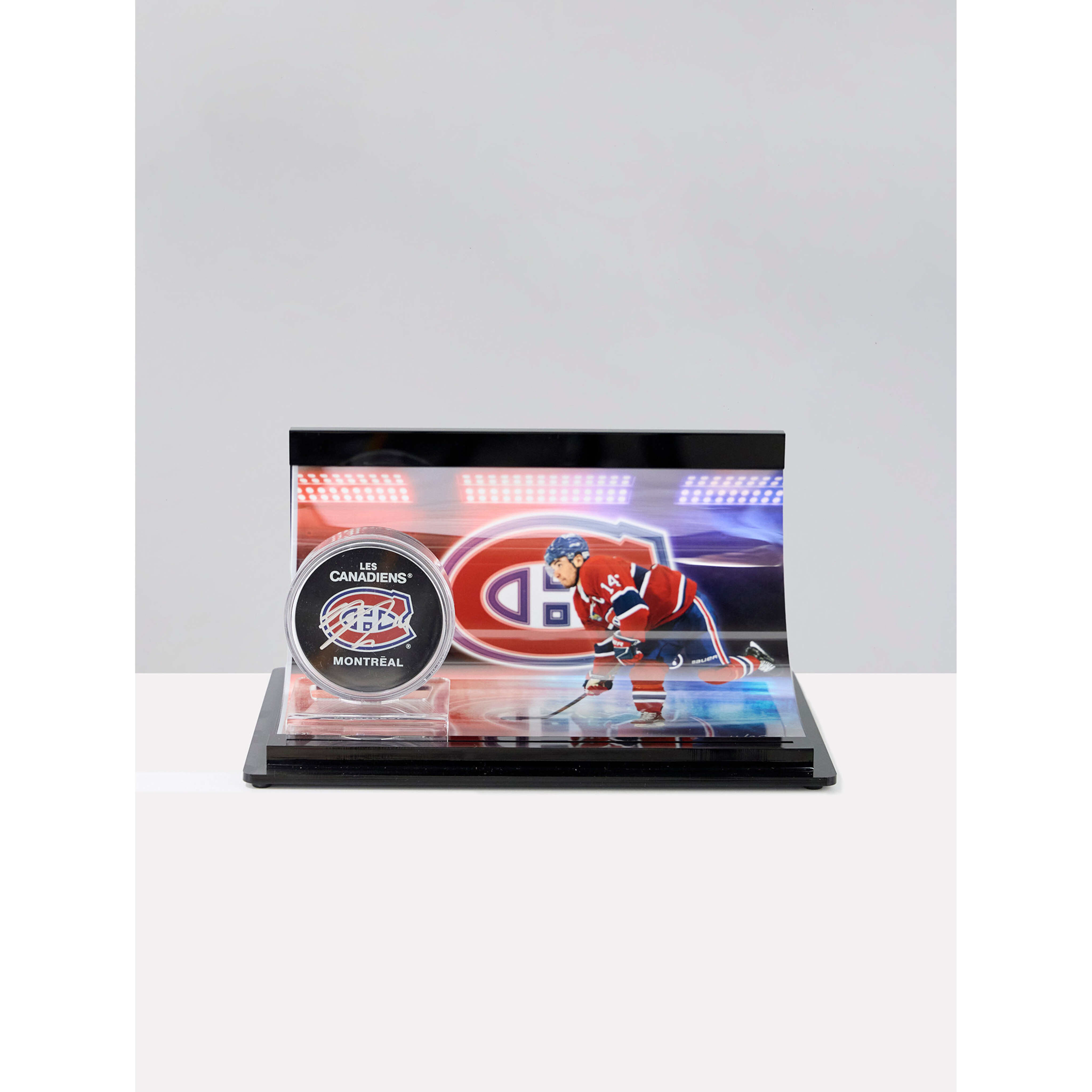 mega gardevoir card sleeves Hockey Puck & Card (120PT) Clear Flip Display Case main image 0