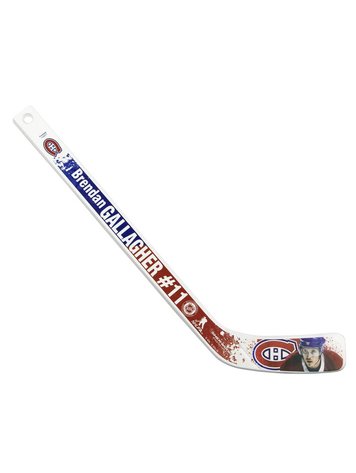 Bienvenue Au Canada Totem Bâtons De Hockey De La Ville Rondelle Et Drapeau