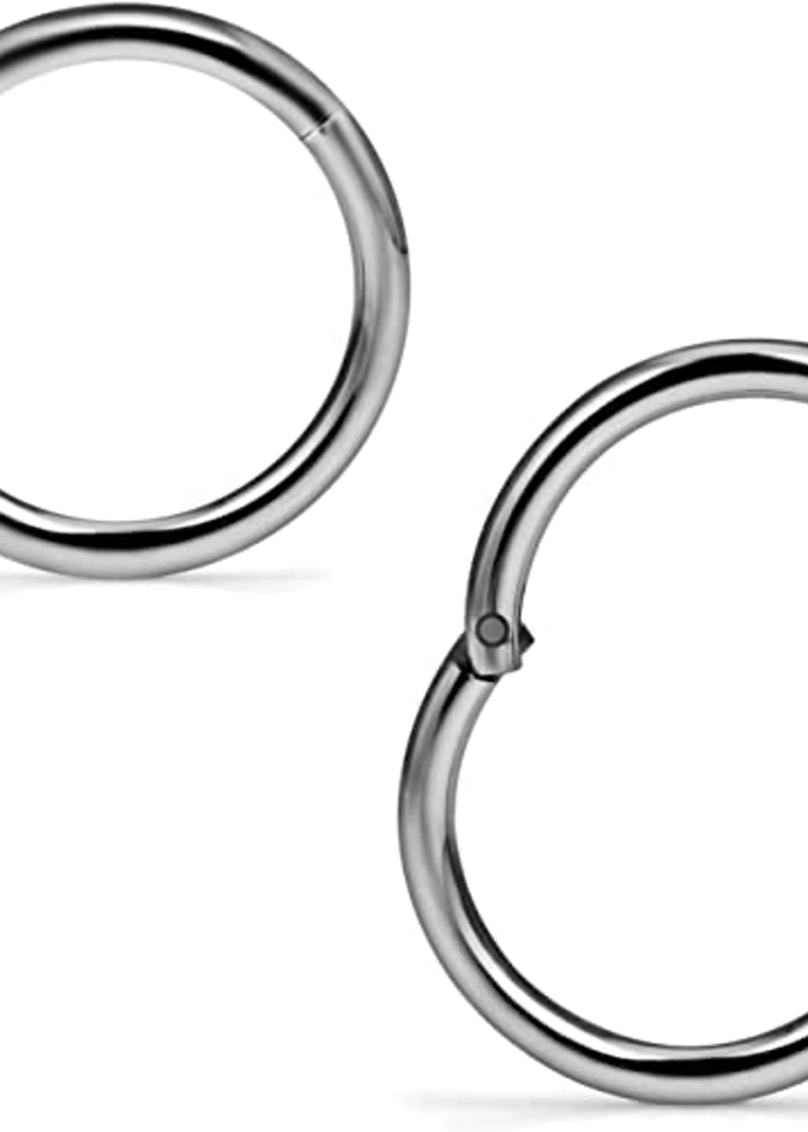 20g Titanium Hinged Rings