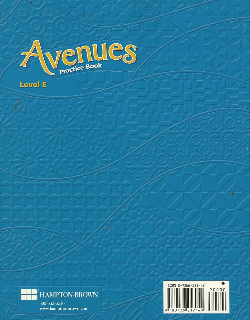 Avenues: Success In Language, Literacy, And Content (Practice Book, Level E)