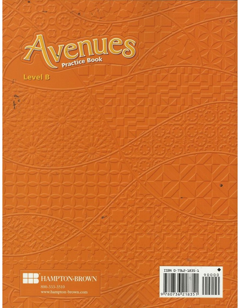 Avenues: Success In Language, Literacy, And Content (Practice Book, Level B)