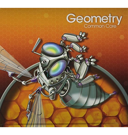 Pearson - Geometry - Common Core