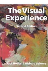 The Visual Experience