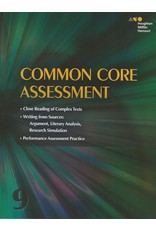 Collections: Performance Assessment Student Edition Grade 9