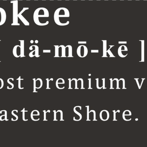 Damokee Vapor (New) Damokee Dictionary Style Shirt - Online Damokee Vapor (New) Damokee Dictionary Style Shirt - Online