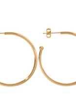 Nikki Lissoni Gold Plated Hoop Earrings - EA1003G