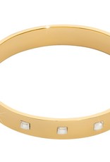Gold Charm Swarovski Bangle