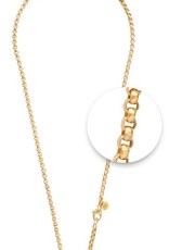 Nikki Lissoni 18" Gold Chain Necklace - N02G45