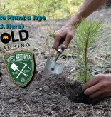 Sagebrush Nursery Tree Plug Purchase ( Douglas Fir / Ponderosa Pine)