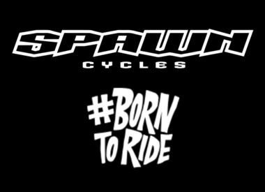 Spawn Cycle