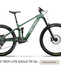 Devinci 25 Devinci E-Troy Lite AL MX Eagle 70