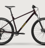 Norco 25 Norco Storm