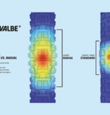Schwalbe Schwalbe Albert Radial Trail Pro
