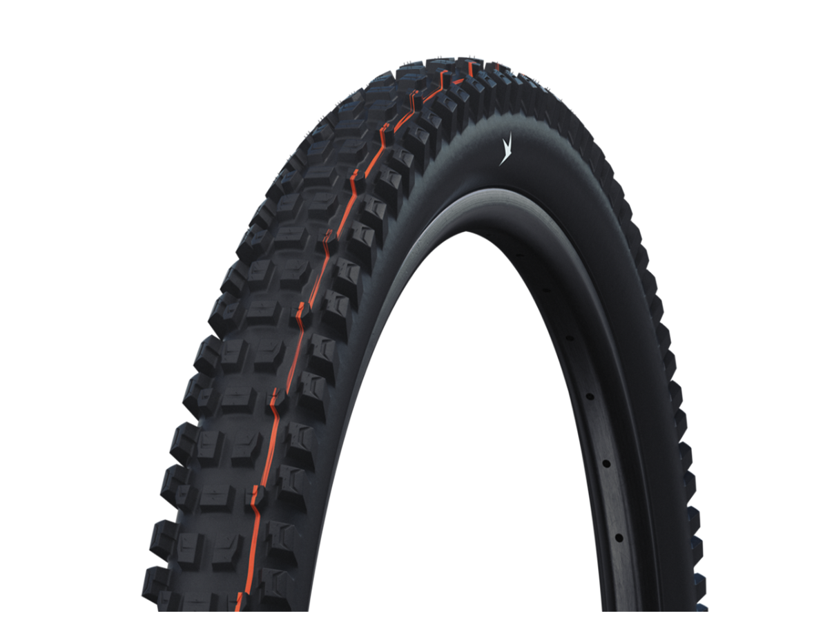 Schwalbe Schwalbe Albert Radial Gravity Pro